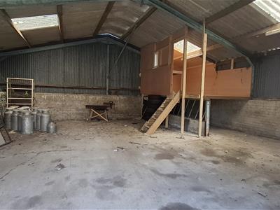 Picture 16